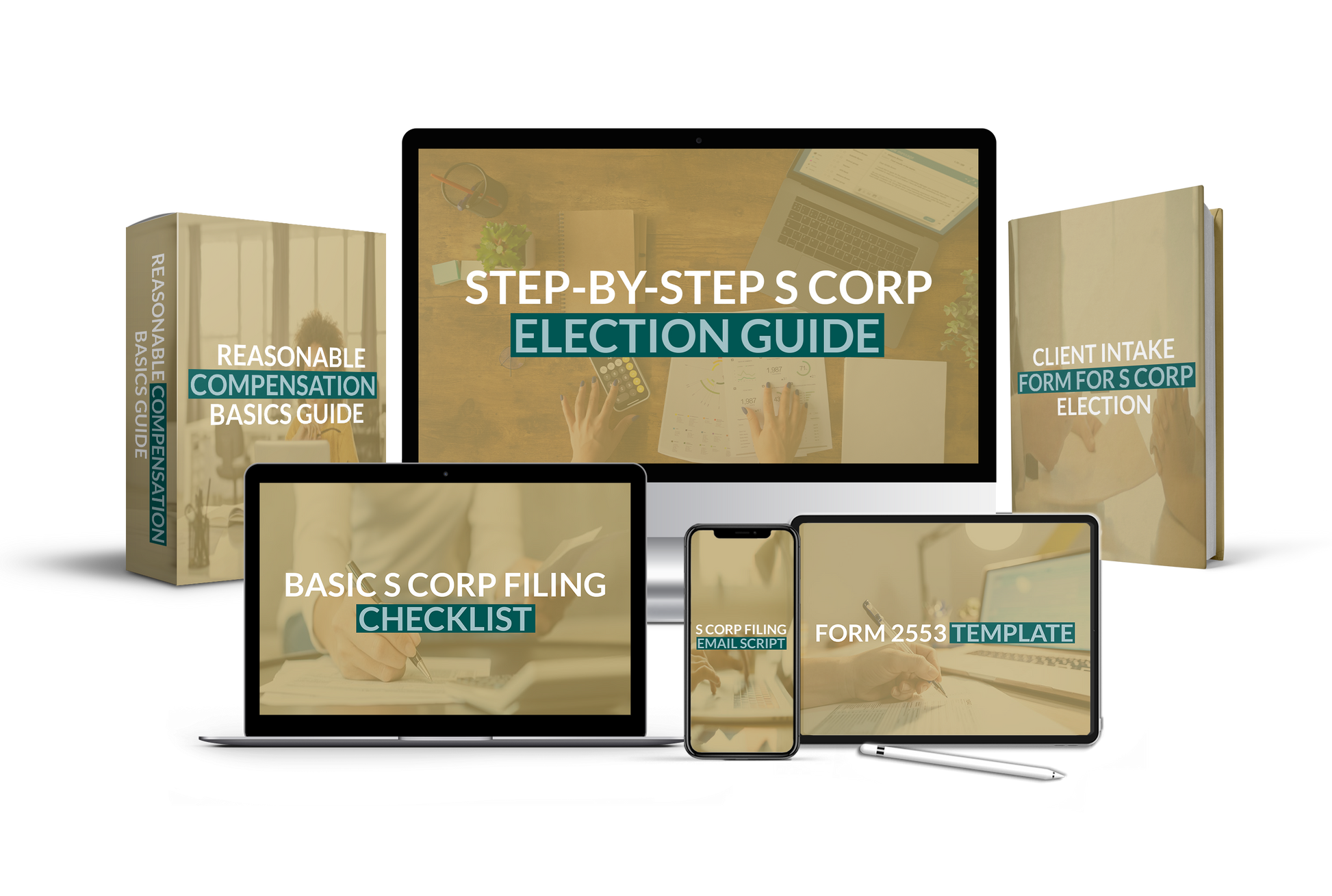 S Corp Entity Election Filing Toolkit
